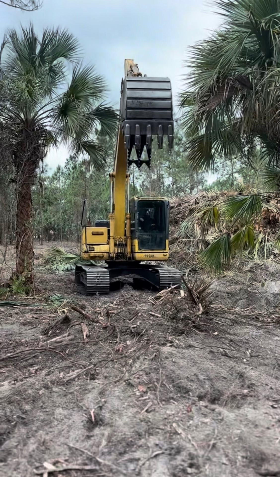 Lot Clearing